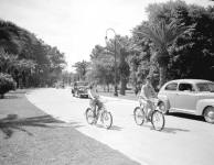 A WPA era photo of City Park in New Orleans